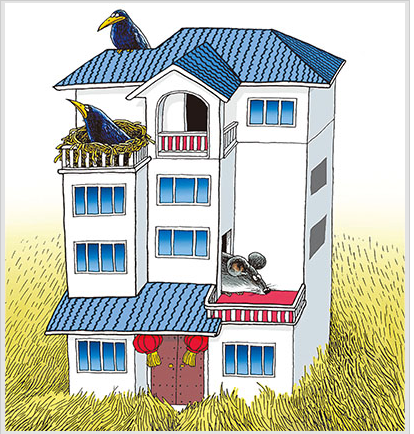 负债累累别墅图片:中国农村现象
